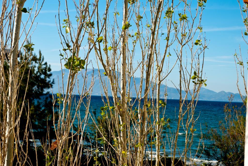 Sea Sight Apartman Alikész Kültér fotó