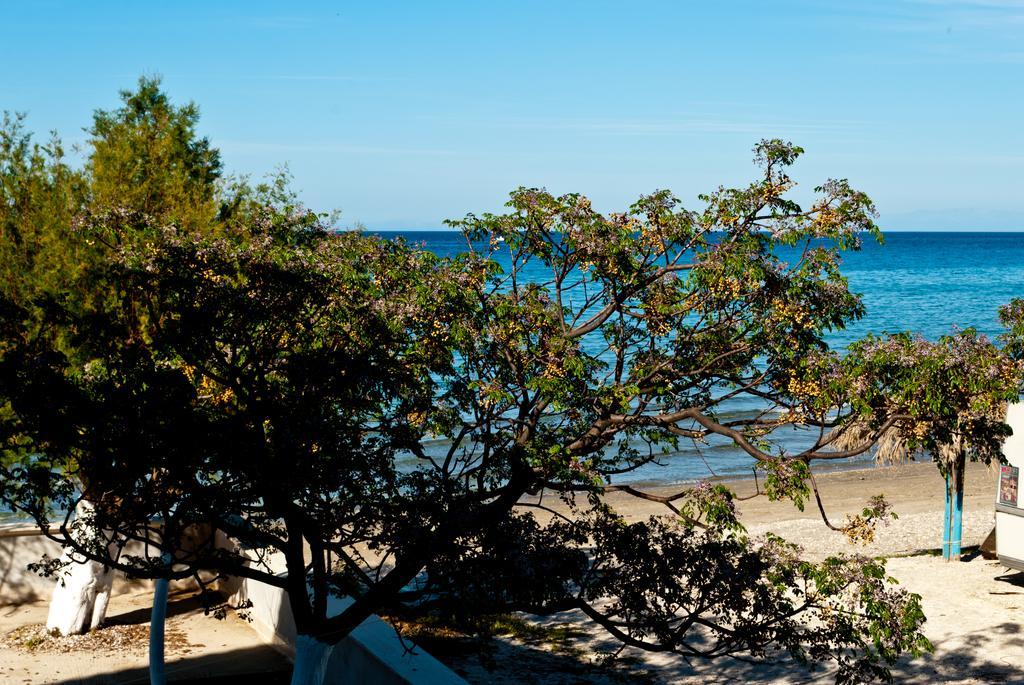 Sea Sight Apartman Alikész Kültér fotó